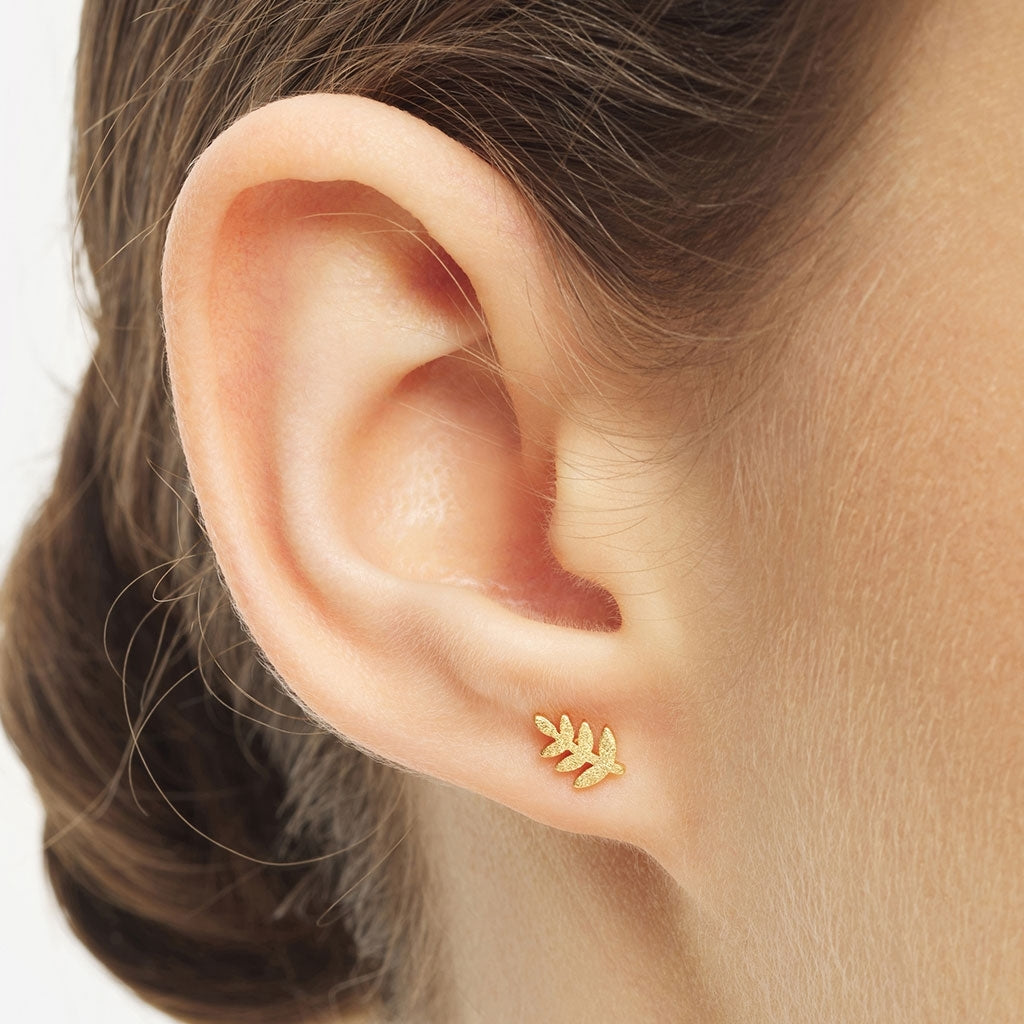 LULU Copenhagen Olive Branch earring 1 pcs Ear stud, 1 pcs Gold plated
