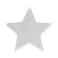 Star earring 1 pcs